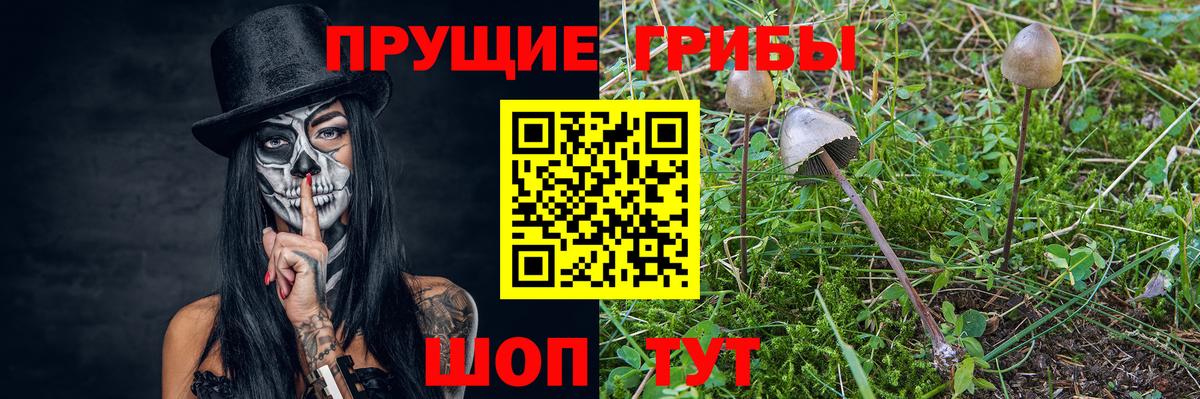 Галлюциногенные грибы Cubensis Шелехов